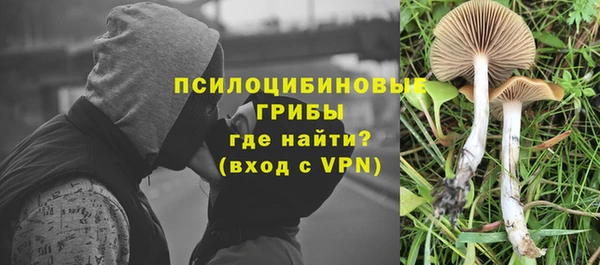 марки nbome Бородино