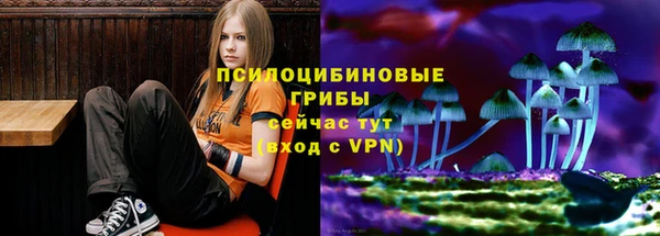 марки nbome Бородино